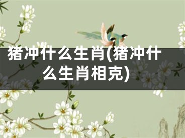 猪冲什么生肖(猪冲什么生肖相克)