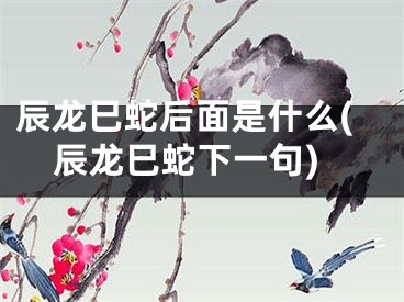 辰龙巳蛇后面是什么(辰龙巳蛇下一句)