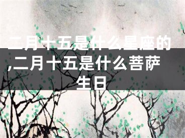 二月十五是什么星座的,二月十五是什么菩萨生日
