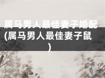 属马男人最佳妻子婚配(属马男人最佳妻子鼠)