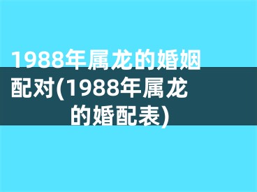 1988年属龙的婚姻配对(1988年属龙的婚配表)