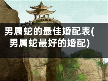 男属蛇的最佳婚配表(男属蛇最好的婚配)