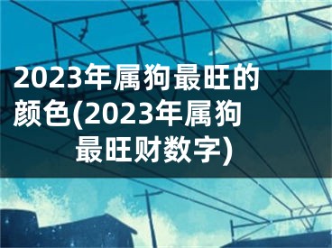 2023年属狗最旺的颜色(2023年属狗最旺财数字)