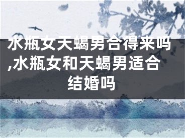 水瓶女天蝎男合得来吗,水瓶女和天蝎男适合结婚吗