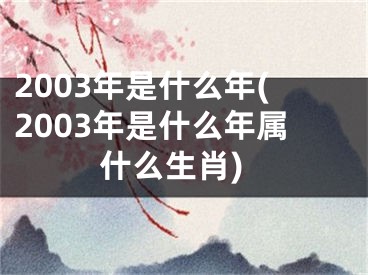 2003年是什么年(2003年是什么年属什么生肖)