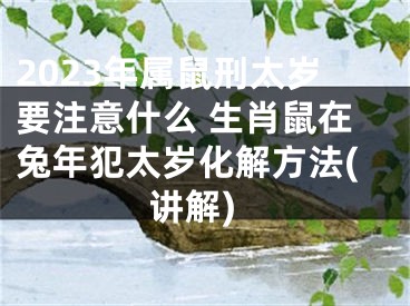 2023年属鼠刑太岁要注意什么 生肖鼠在兔年犯太岁化解方法(讲解)