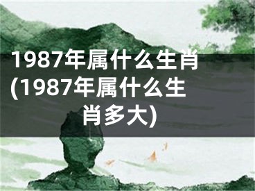 1987年属什么生肖(1987年属什么生肖多大)