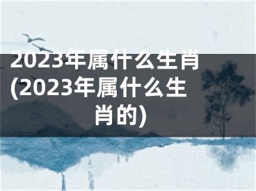 2023年属什么生肖(2023年属什么生肖的)