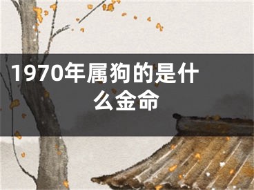 1970年属狗的是什么金命