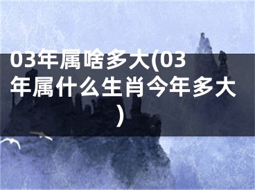 03年属啥多大(03年属什么生肖今年多大)