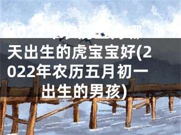 2022年农历五月哪天出生的虎宝宝好(2022年农历五月初一出生的男孩)