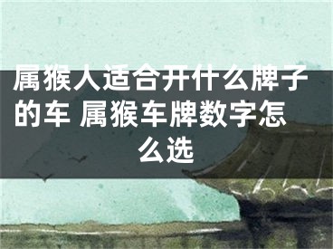 属猴人适合开什么牌子的车 属猴车牌数字怎么选