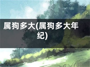 属狗多大(属狗多大年纪)