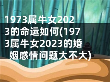 1973属牛女2023的命运如何(1973属牛女2023的婚姻感情问题大不大)