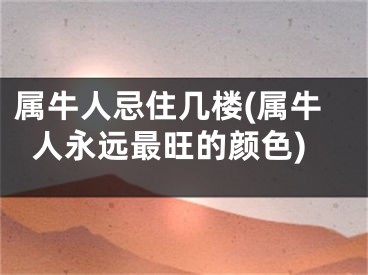 属牛人忌住几楼(属牛人永远最旺的颜色)