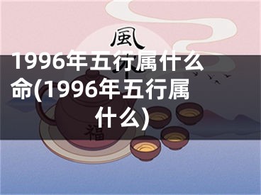 1996年五行属什么命(1996年五行属什么)