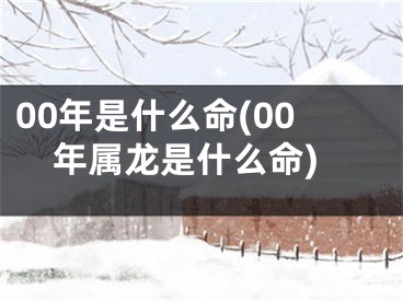 00年是什么命(00年属龙是什么命)