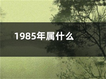 1985年属什么