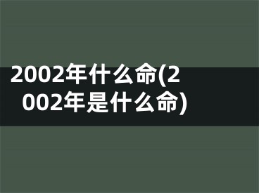 2002年什么命(2002年是什么命)