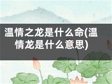 温情之龙是什么命(温情龙是什么意思)