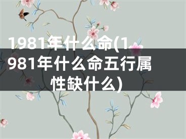 1981年什么命(1981年什么命五行属性缺什么)