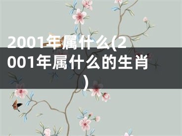 2001年属什么(2001年属什么的生肖)