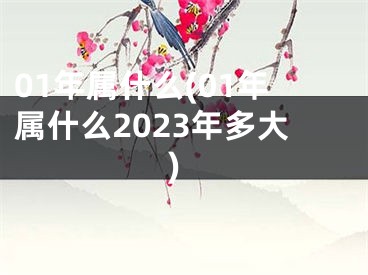 01年属什么(01年属什么2023年多大)
