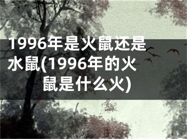 1996年是火鼠还是水鼠(1996年的火鼠是什么火)