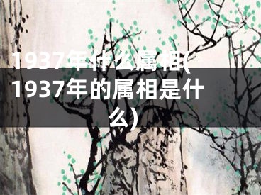1937年什么属相(1937年的属相是什么)