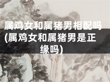 属鸡女和属猪男相配吗(属鸡女和属猪男是正缘吗)