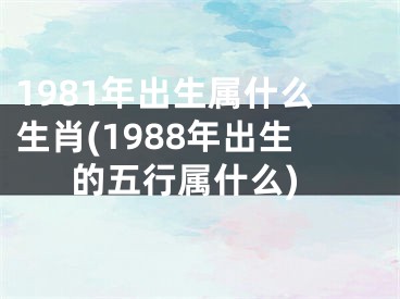 1981年出生属什么生肖(1988年出生的五行属什么)