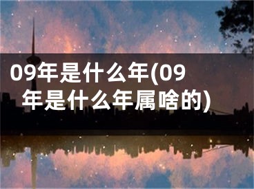 09年是什么年(09年是什么年属啥的)