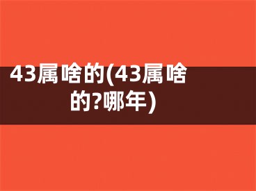 43属啥的(43属啥的?哪年)