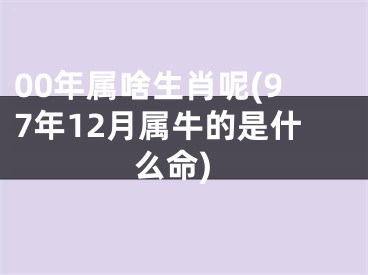 00年属啥生肖呢(97年12月属牛的是什么命)