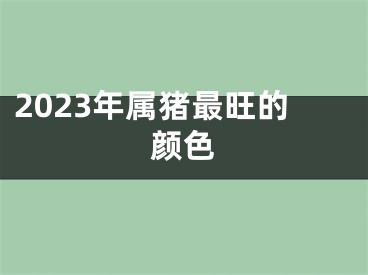 2023年属猪最旺的颜色