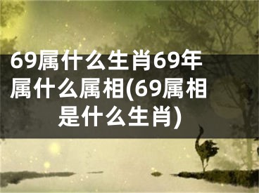 69属什么生肖69年属什么属相(69属相是什么生肖)