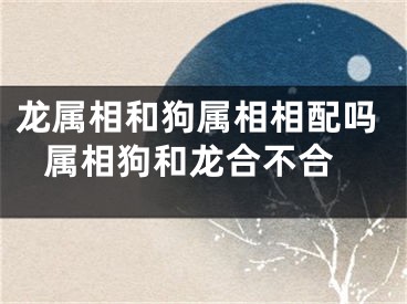 龙属相和狗属相相配吗 属相狗和龙合不合