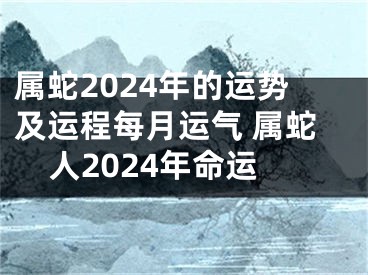 属蛇2024年的运势及运程每月运气 属蛇人2024年命运