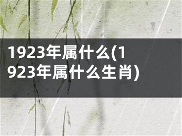 1923年属什么(1923年属什么生肖)