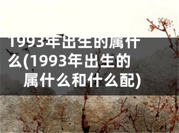 1993年出生的属什么(1993年出生的属什么和什么配)
