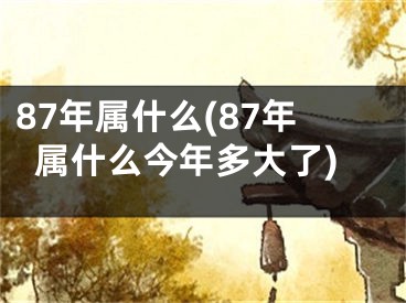 87年属什么(87年属什么今年多大了)