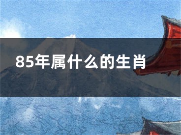 85年属什么的生肖