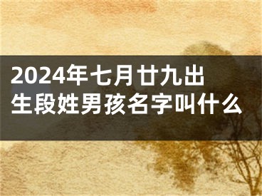 2024年七月廿九出生段姓男孩名字叫什么