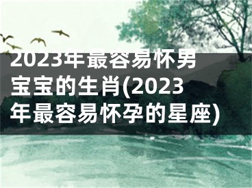 2023年最容易怀男宝宝的生肖(2023年最容易怀孕的星座)