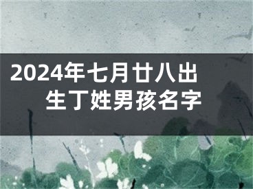 2024年七月廿八出生丁姓男孩名字