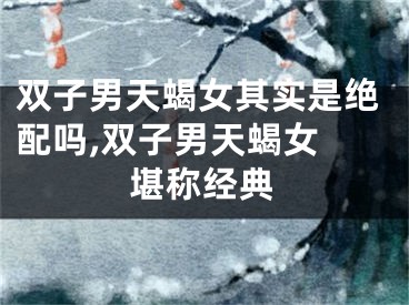 双子男天蝎女其实是绝配吗,双子男天蝎女 堪称经典