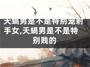 天蝎男是不是特别宠射手女,天蝎男是不是特别贱的