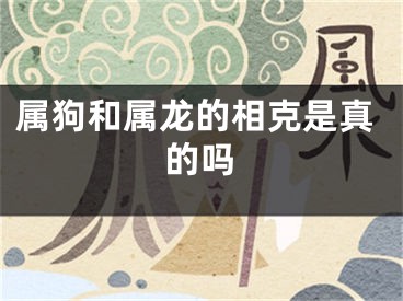 属狗和属龙的相克是真的吗