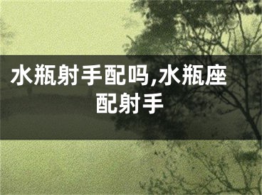 水瓶射手配吗,水瓶座配射手