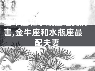 金牛座和水瓶座谁更厉害,金牛座和水瓶座最配夫妻